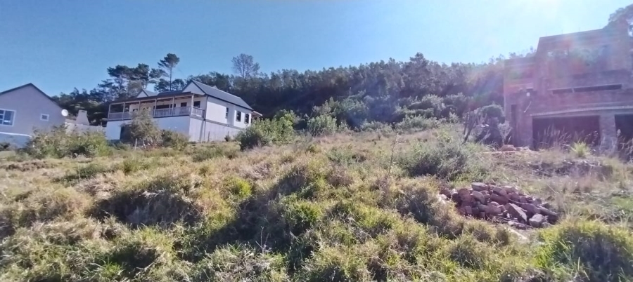 0 Bedroom Property for Sale in Green Pastures Western Cape